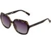 Sinner Montara Sunglasses